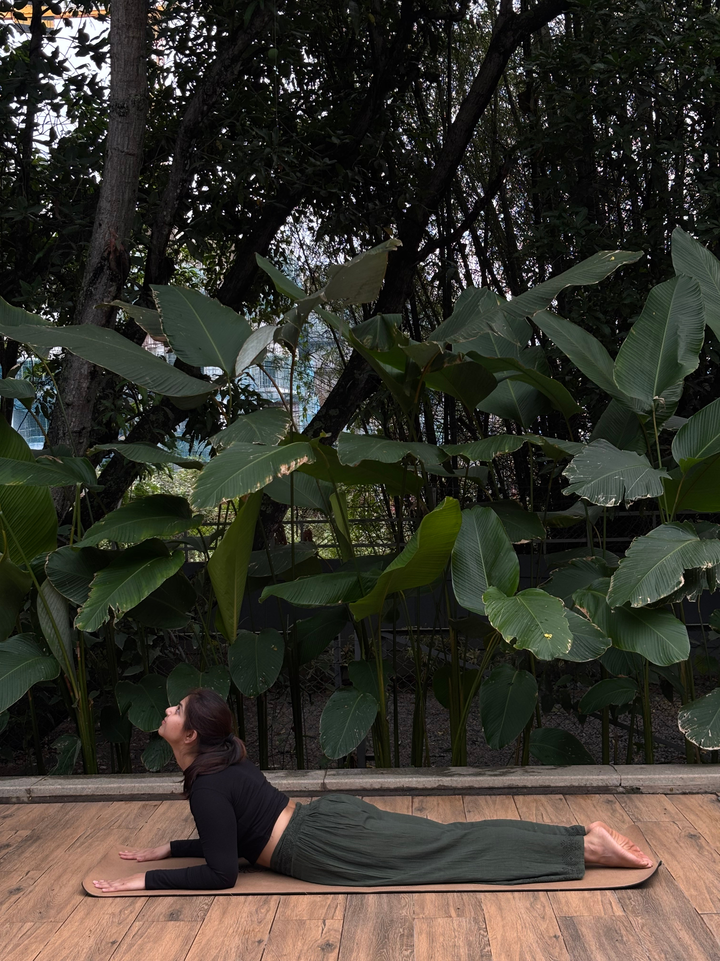 A hatha yoga posture